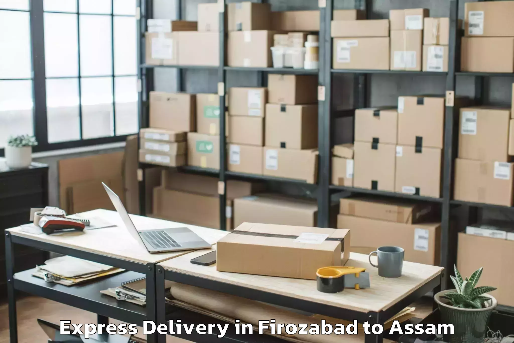 Leading Firozabad to Mayong Express Delivery Provider